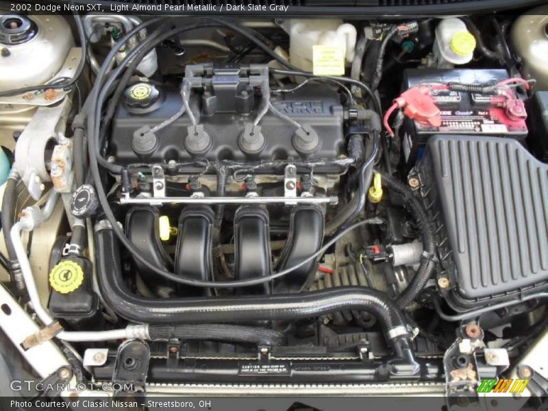 Light Almond Pearl Metallic / Dark Slate Gray 2002 Dodge Neon SXT