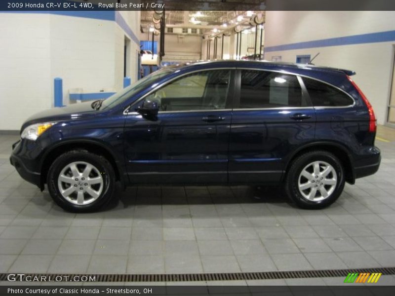 Royal Blue Pearl / Gray 2009 Honda CR-V EX-L 4WD