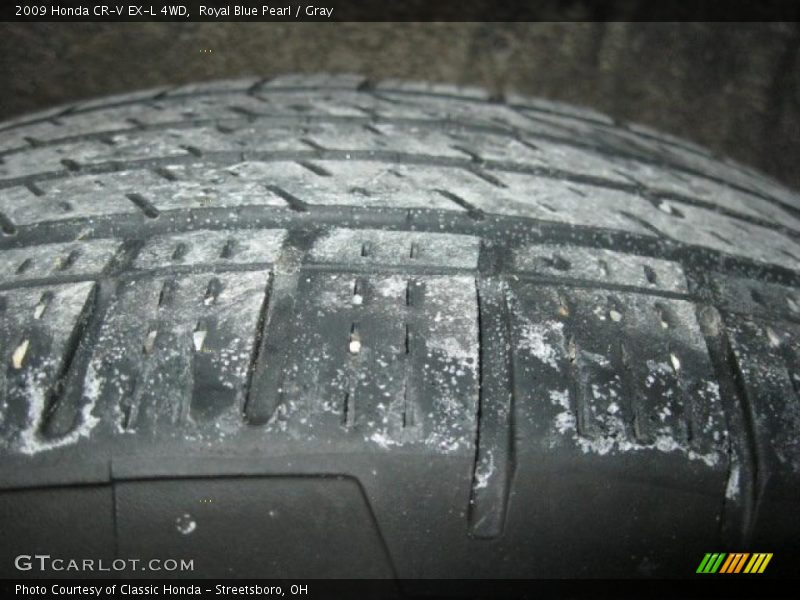 Royal Blue Pearl / Gray 2009 Honda CR-V EX-L 4WD