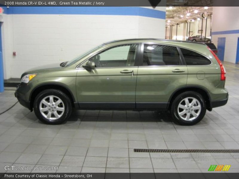 Green Tea Metallic / Ivory 2008 Honda CR-V EX-L 4WD