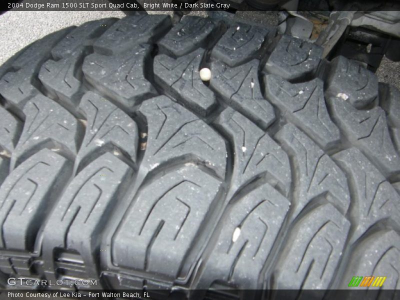 Bright White / Dark Slate Gray 2004 Dodge Ram 1500 SLT Sport Quad Cab