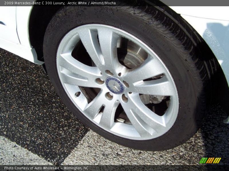 Arctic White / Almond/Mocha 2009 Mercedes-Benz C 300 Luxury