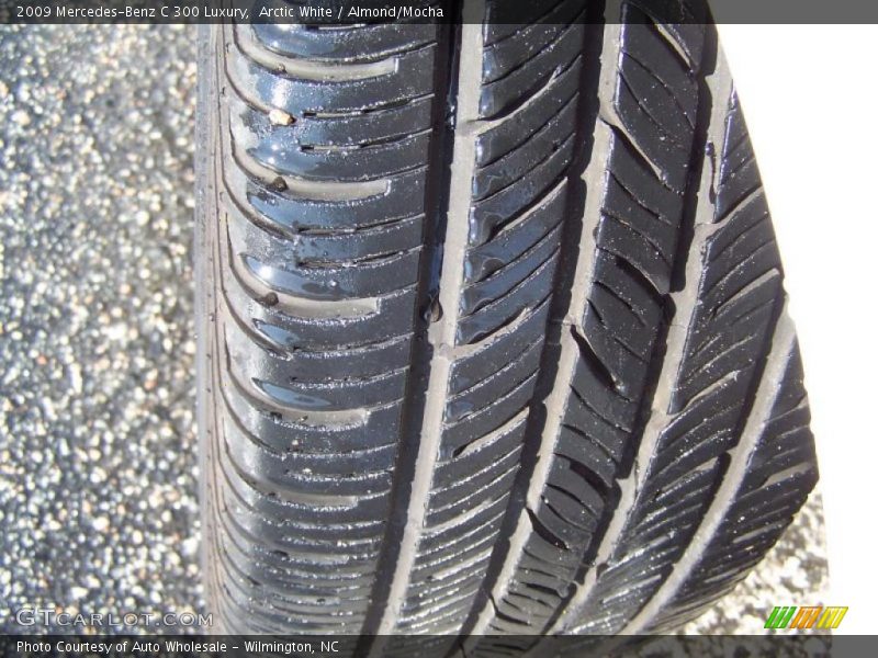 Arctic White / Almond/Mocha 2009 Mercedes-Benz C 300 Luxury