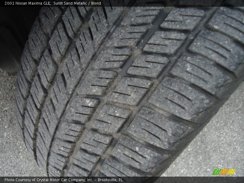 Sunlit Sand Metallic / Blond 2001 Nissan Maxima GLE