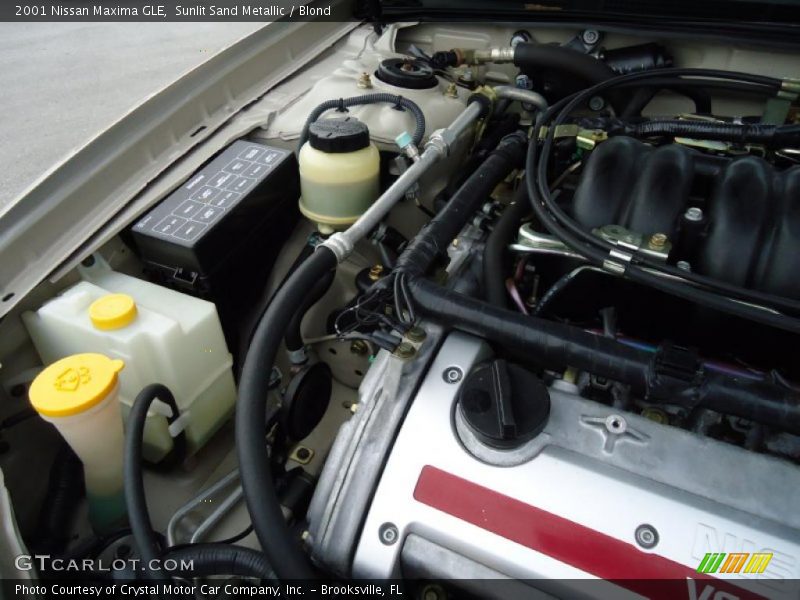Sunlit Sand Metallic / Blond 2001 Nissan Maxima GLE