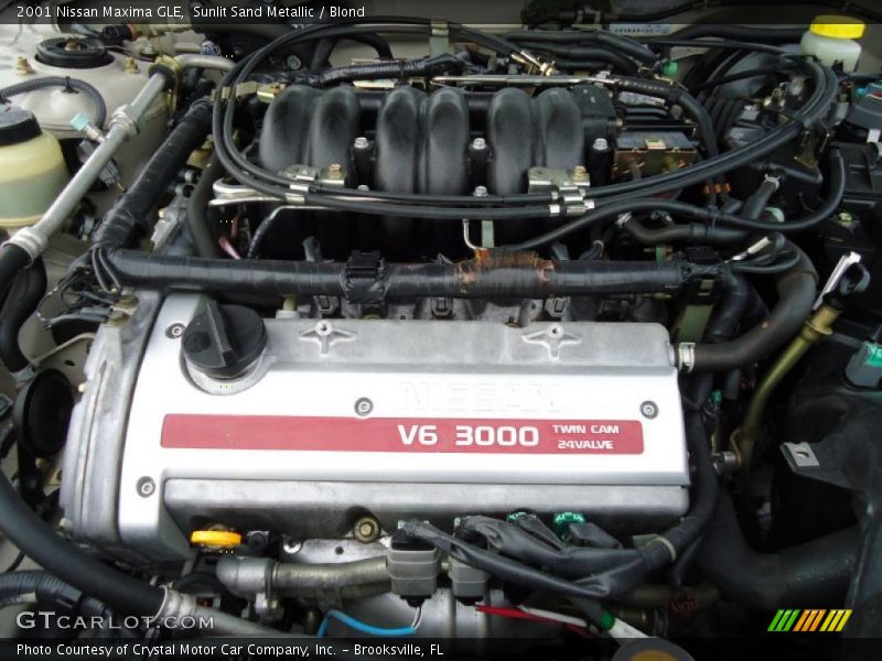 Sunlit Sand Metallic / Blond 2001 Nissan Maxima GLE