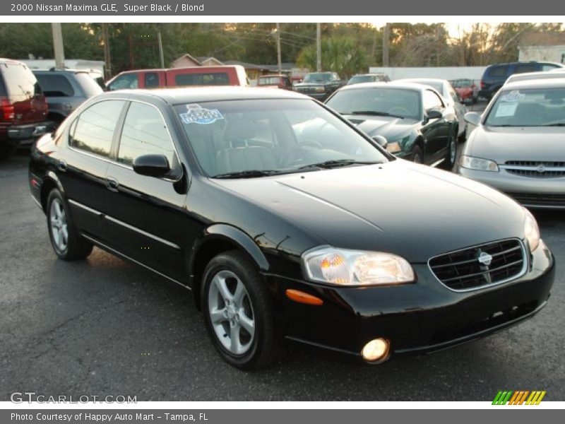 Super Black / Blond 2000 Nissan Maxima GLE
