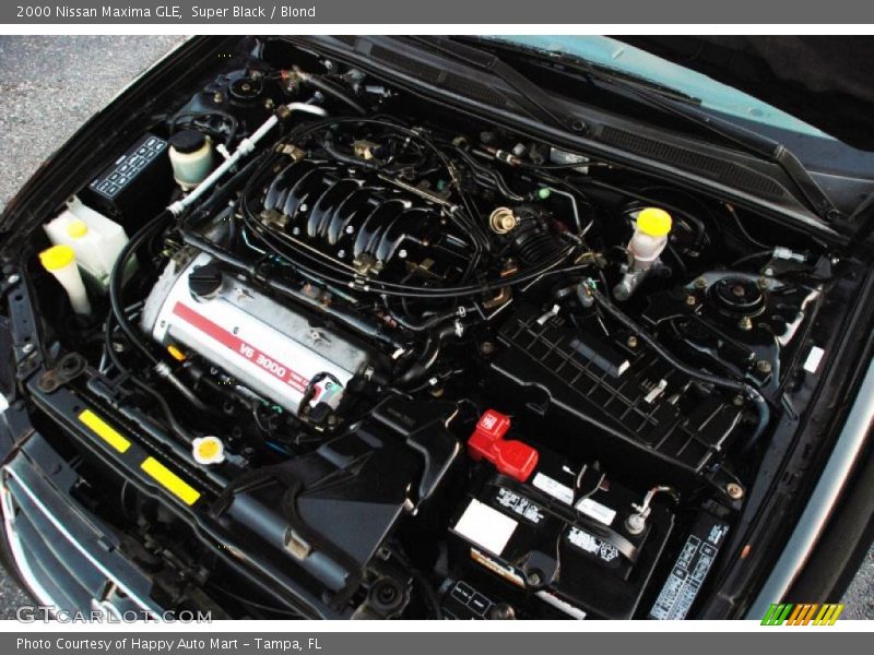 Super Black / Blond 2000 Nissan Maxima GLE