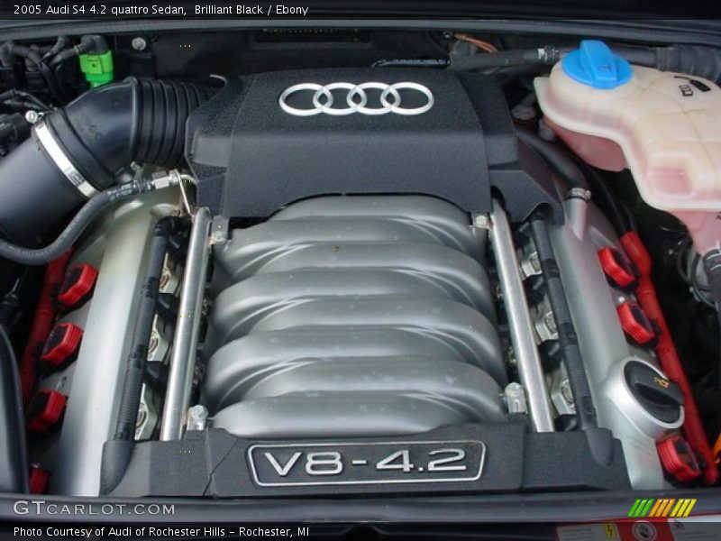  2005 S4 4.2 quattro Sedan Engine - 4.2 Liter DOHC 40-Valve V8