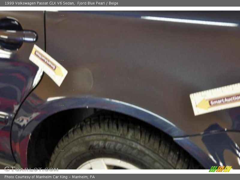 Fjord Blue Pearl / Beige 1999 Volkswagen Passat GLX V6 Sedan