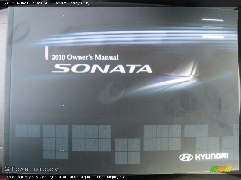 Radiant Silver / Gray 2010 Hyundai Sonata GLS