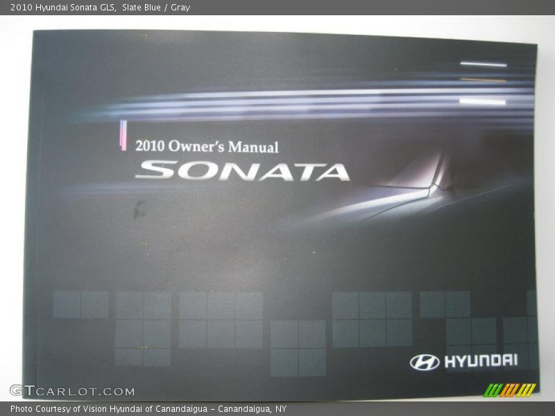 Slate Blue / Gray 2010 Hyundai Sonata GLS