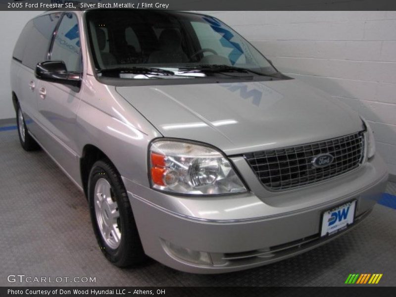 Silver Birch Metallic / Flint Grey 2005 Ford Freestar SEL