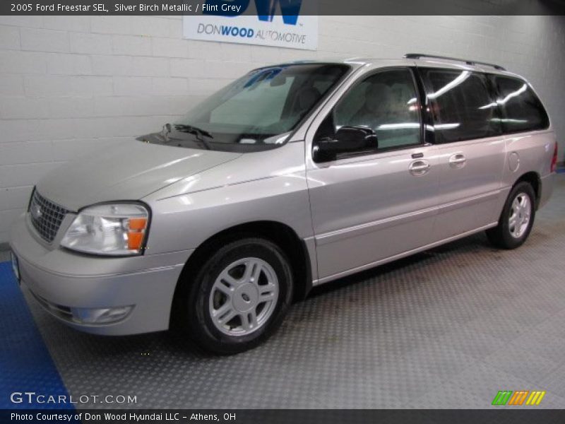 Silver Birch Metallic / Flint Grey 2005 Ford Freestar SEL