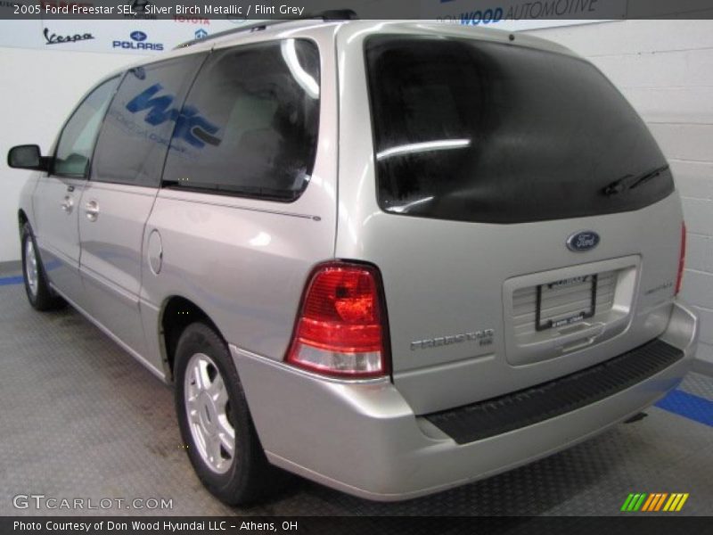Silver Birch Metallic / Flint Grey 2005 Ford Freestar SEL