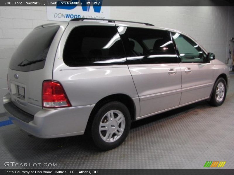 Silver Birch Metallic / Flint Grey 2005 Ford Freestar SEL