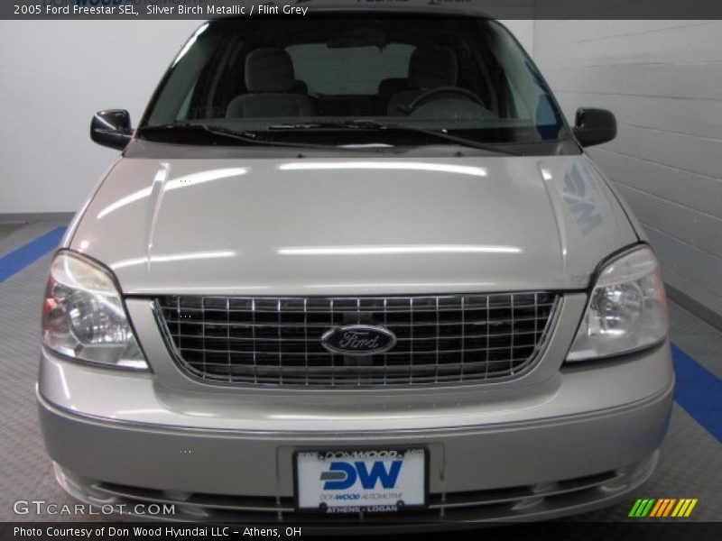 Silver Birch Metallic / Flint Grey 2005 Ford Freestar SEL