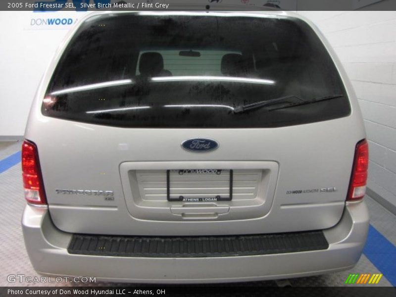 Silver Birch Metallic / Flint Grey 2005 Ford Freestar SEL