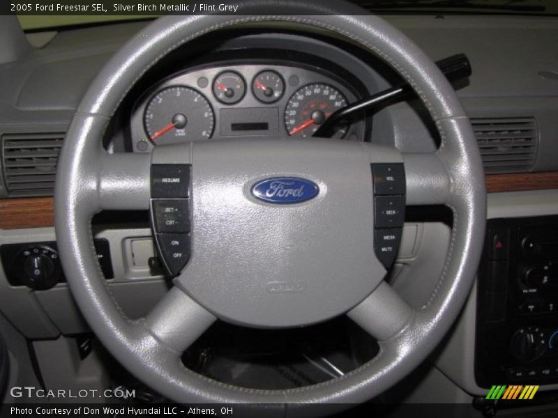 Silver Birch Metallic / Flint Grey 2005 Ford Freestar SEL