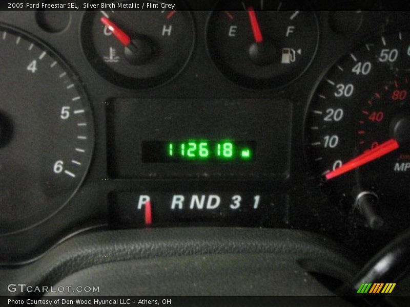 Silver Birch Metallic / Flint Grey 2005 Ford Freestar SEL