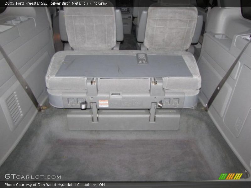 Silver Birch Metallic / Flint Grey 2005 Ford Freestar SEL
