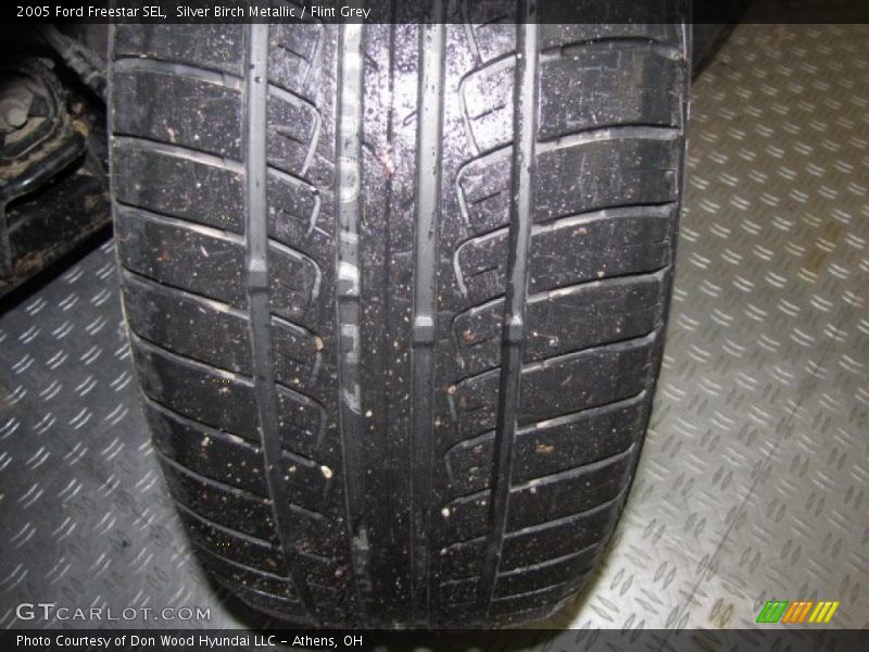 Silver Birch Metallic / Flint Grey 2005 Ford Freestar SEL