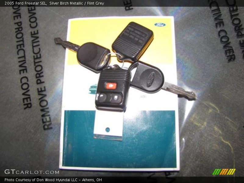 Silver Birch Metallic / Flint Grey 2005 Ford Freestar SEL