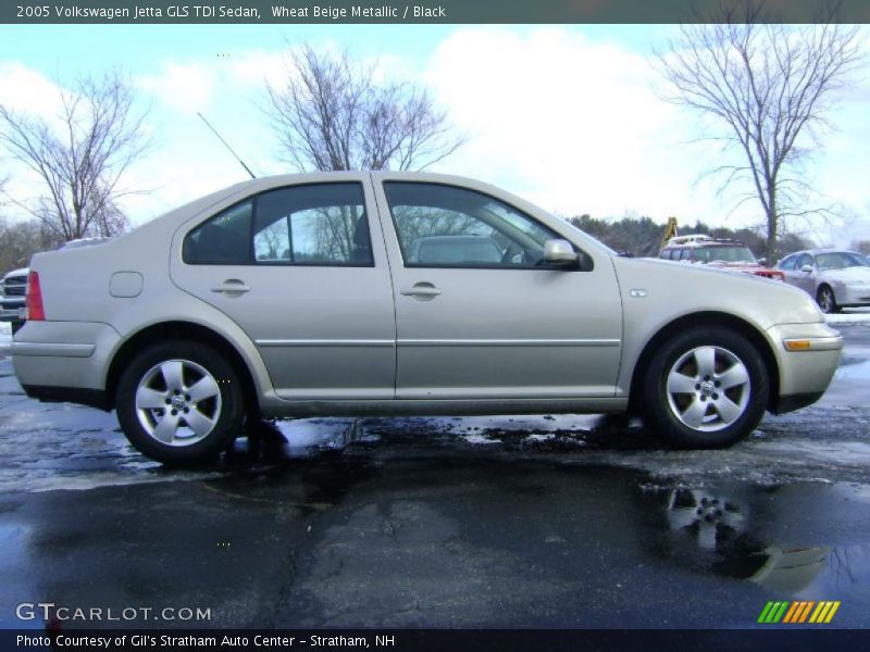 Wheat Beige Metallic / Black 2005 Volkswagen Jetta GLS TDI Sedan