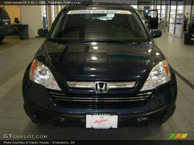 Royal Blue Pearl / Gray 2009 Honda CR-V EX-L 4WD