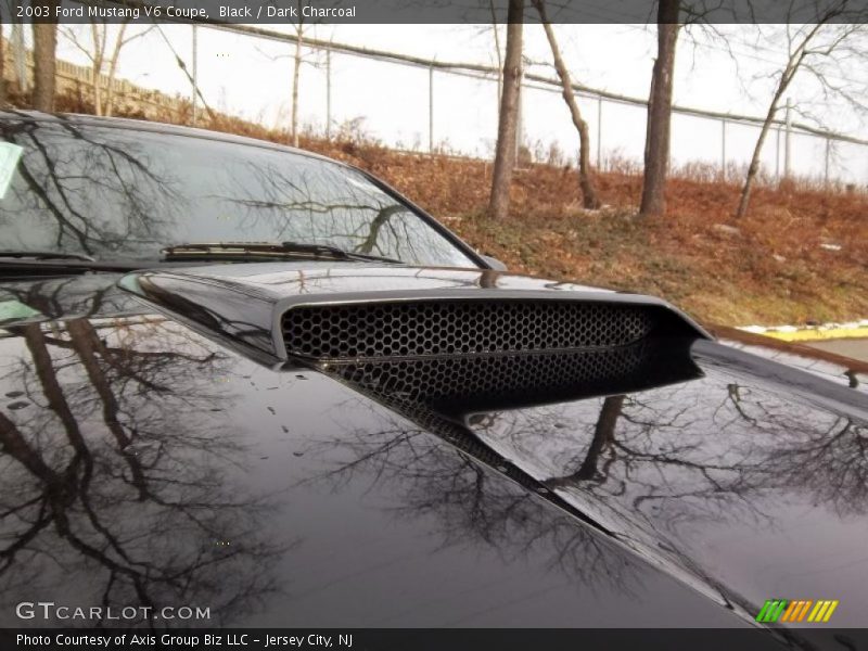 Black / Dark Charcoal 2003 Ford Mustang V6 Coupe