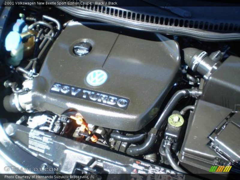 Black / Black 2001 Volkswagen New Beetle Sport Edition Coupe