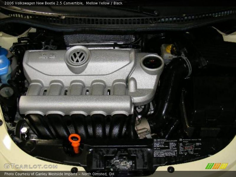 Mellow Yellow / Black 2006 Volkswagen New Beetle 2.5 Convertible