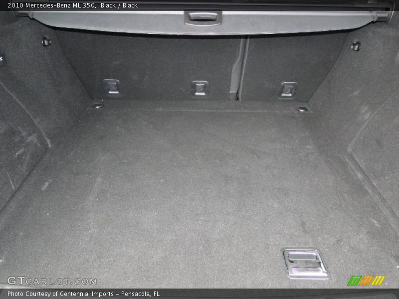  2010 ML 350 Trunk