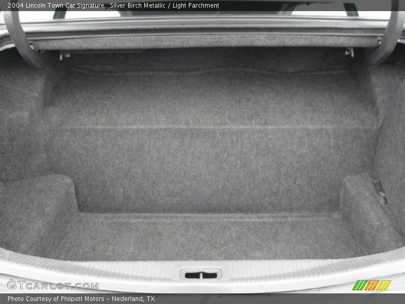 Silver Birch Metallic / Light Parchment 2004 Lincoln Town Car Signature
