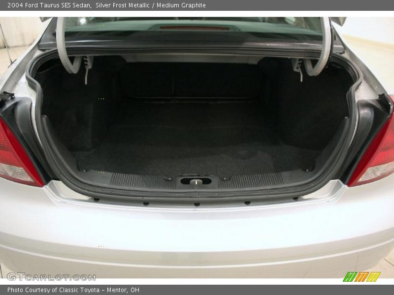Silver Frost Metallic / Medium Graphite 2004 Ford Taurus SES Sedan