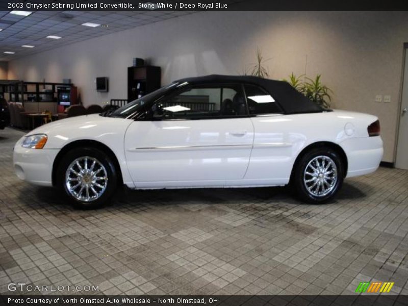 Stone White / Deep Royal Blue 2003 Chrysler Sebring Limited Convertible