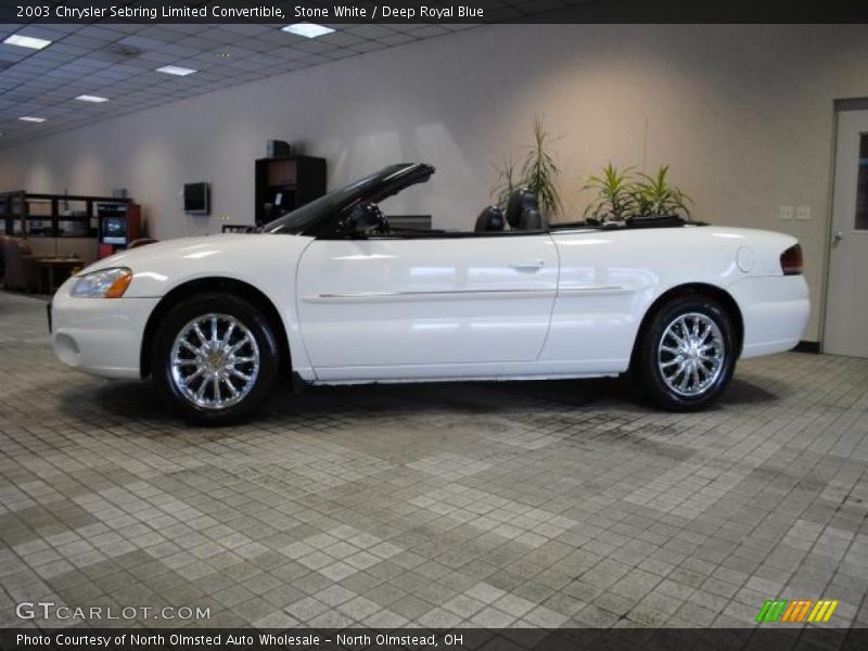 Stone White / Deep Royal Blue 2003 Chrysler Sebring Limited Convertible