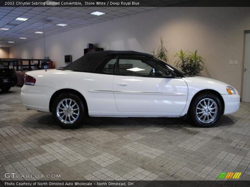 Stone White / Deep Royal Blue 2003 Chrysler Sebring Limited Convertible
