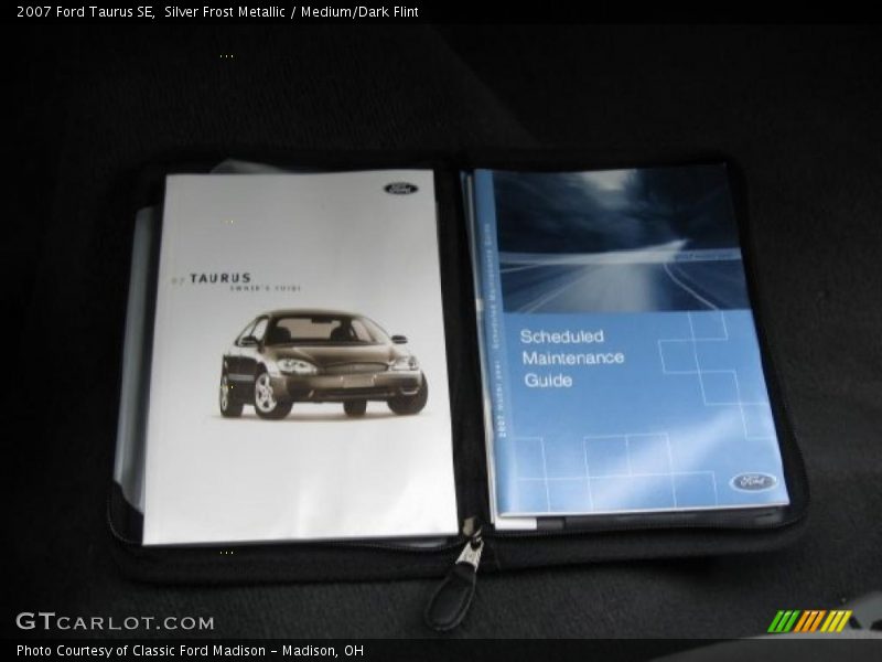 Silver Frost Metallic / Medium/Dark Flint 2007 Ford Taurus SE