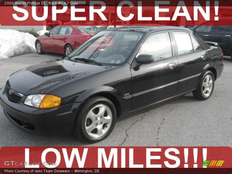 Black Mica / Gray 2000 Mazda Protege ES