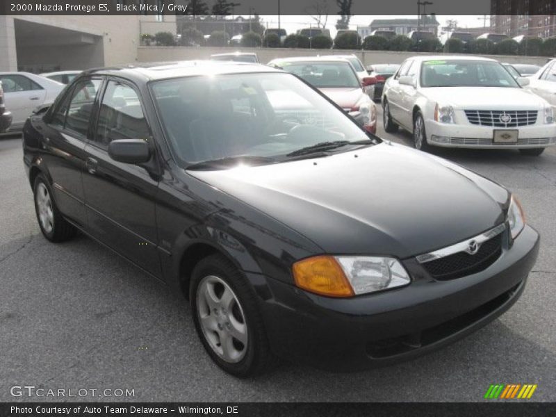 Black Mica / Gray 2000 Mazda Protege ES