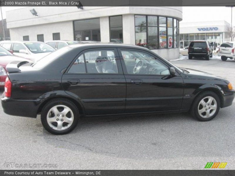 Black Mica / Gray 2000 Mazda Protege ES