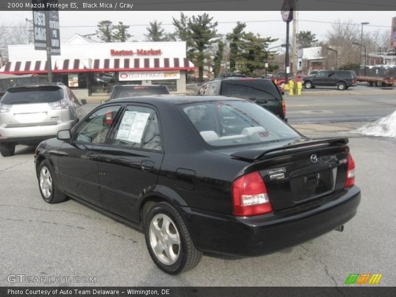 Black Mica / Gray 2000 Mazda Protege ES