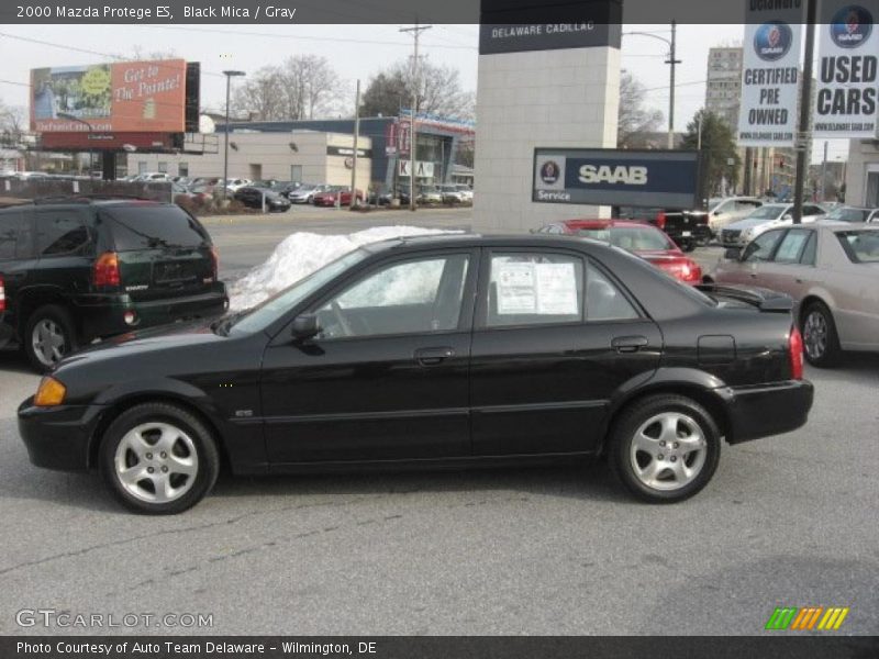 Black Mica / Gray 2000 Mazda Protege ES