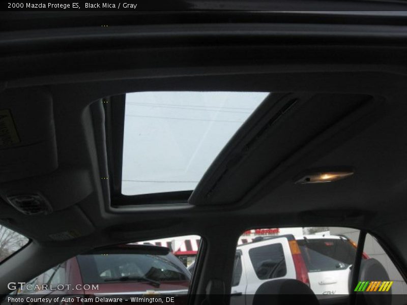 Black Mica / Gray 2000 Mazda Protege ES