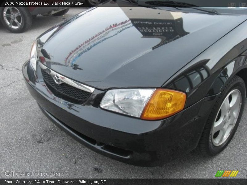 Black Mica / Gray 2000 Mazda Protege ES