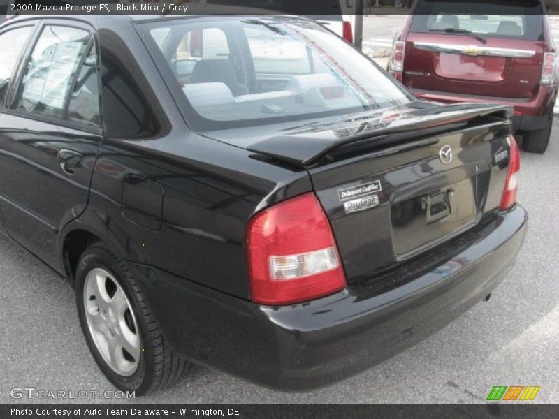 Black Mica / Gray 2000 Mazda Protege ES
