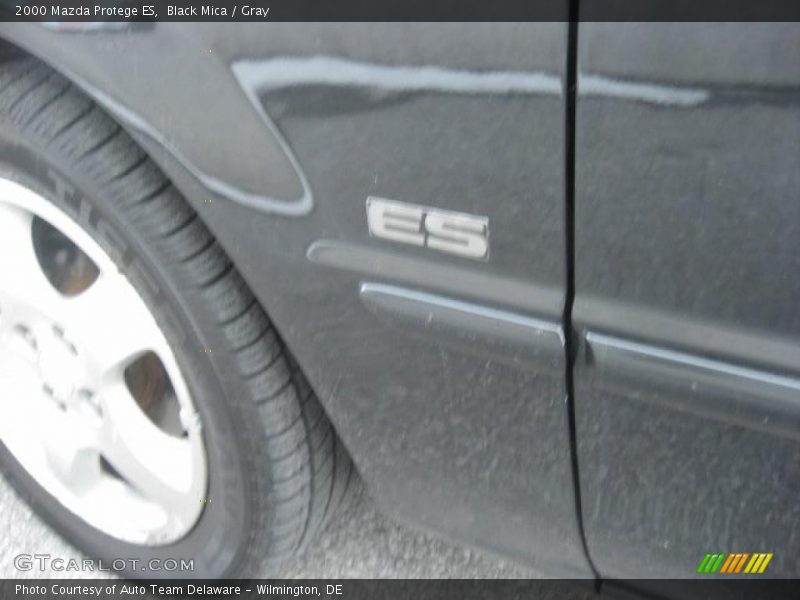 Black Mica / Gray 2000 Mazda Protege ES