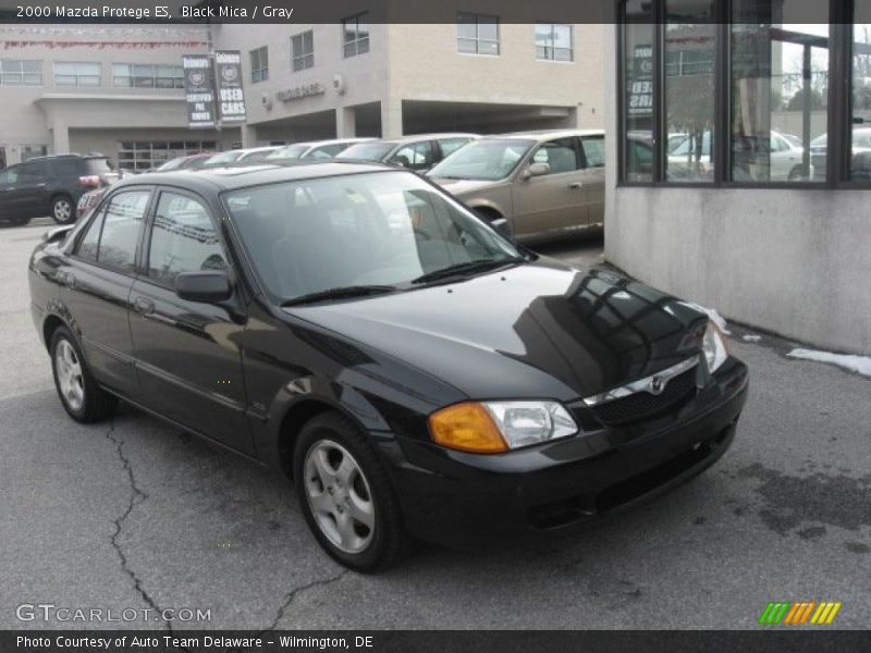 Black Mica / Gray 2000 Mazda Protege ES