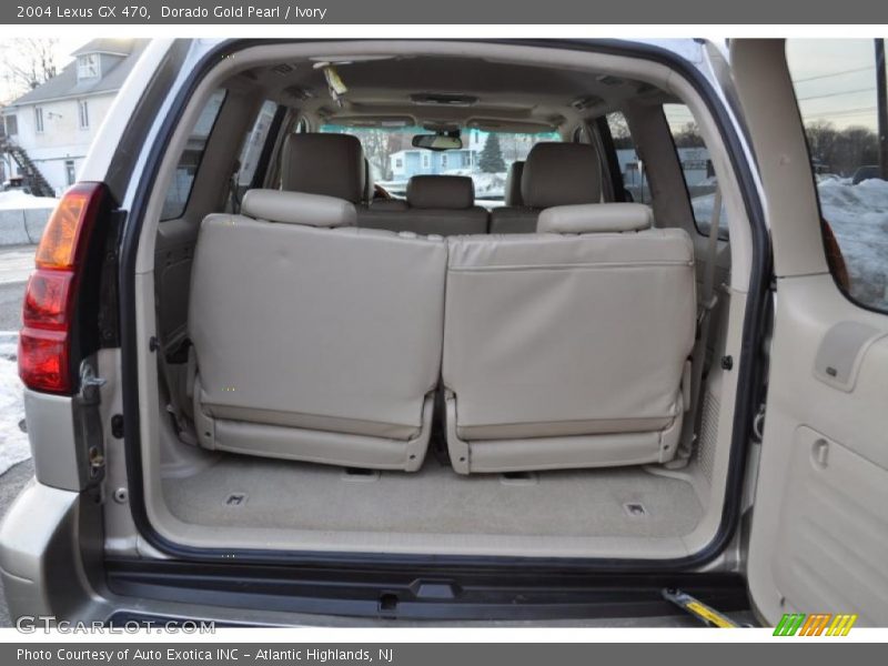 Dorado Gold Pearl / Ivory 2004 Lexus GX 470